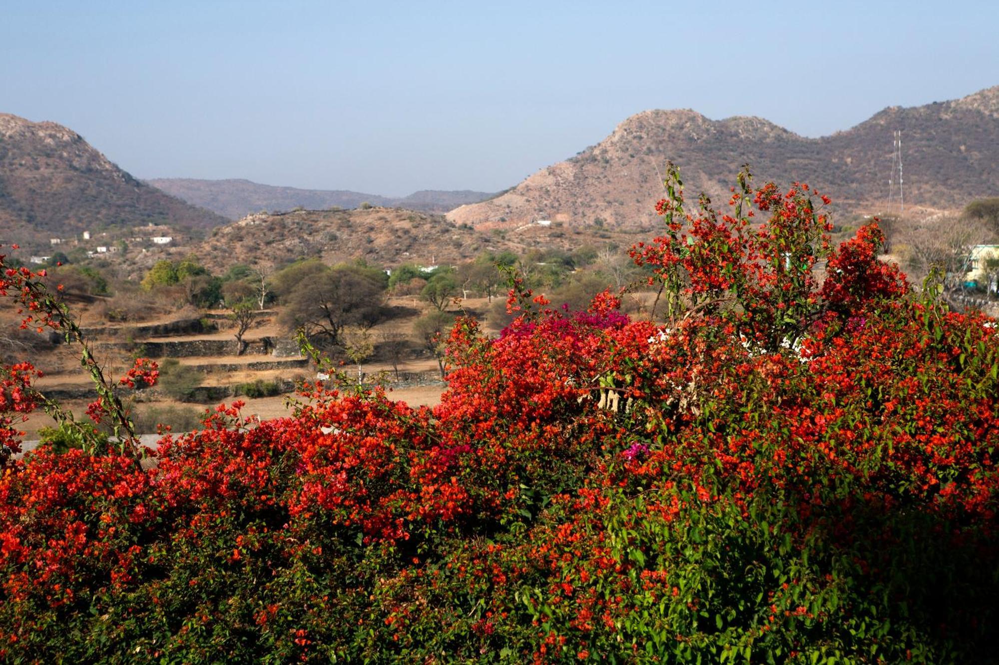 Raas Devigarh Delwāra Exterior foto